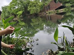 -贵阳市花溪国家城市湿地公园