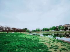 -两河城市森林公园