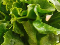 -焱味真•韩牛自助烤肉(大学城店)