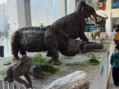 -中国第四纪冰川遗迹陈列馆