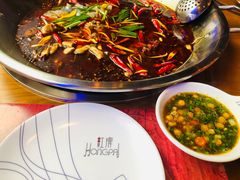 -红牌美蛙鱼头火锅(万辉国际广场店)