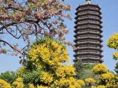 -西海子公园