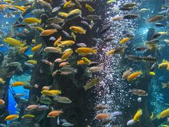 -合肥海洋世界