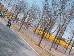 -东郊湿地公园