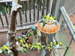 -正佳雨林生态植物园
