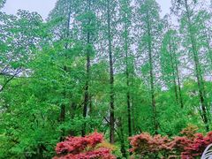 -徐家汇源景区-衡山公园