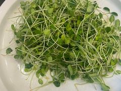 -鸿运楼烤鸭店(天桥店)