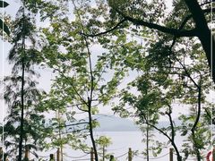 -天目湖山水园