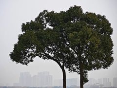 -西山漾湿地公园