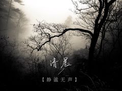 -东天目山风景区