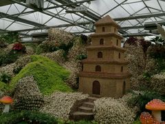 -兰陵国家农业公园