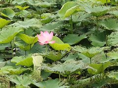 -宜兴龙背山森林公园