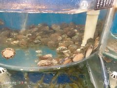 -叶存利海鲜大馅饺子(东戴河止锚湾店)