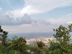 -长虫山生态公园风景林