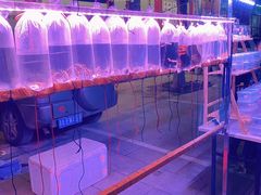 -华声天桥民俗文化园