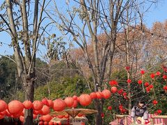 -HERRE·FARM 赫尔露营农场·团建聚会包场