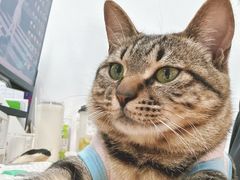 -美美宠物诊疗中心·异宠·骨科(滨江东信分院)
