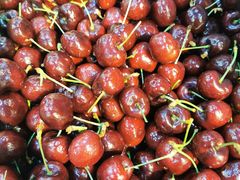 -e佳鲜果(四方坪店)