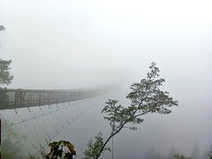 -娄山关景区