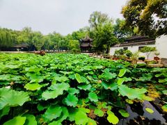 -墅园