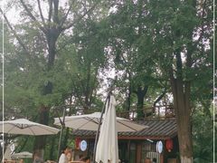 -成都市活水公园