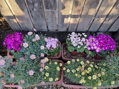 -斯多格书乡(北京大学畅春园店)