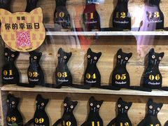 -猫咪博物馆(顶澳仔猫街店)