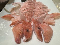 -顺轩海鲜火锅酒家