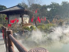 -广西壮族自治区药用植物园