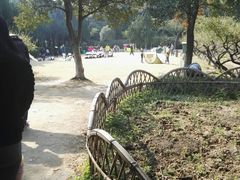 -白马涧龙池景区
