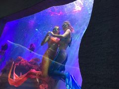 -瑞德姆美人鱼海底演艺主题餐厅(亚龙湾店)
