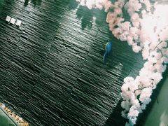 -迈格笙SPA·影院式足道·采耳(金桥店)