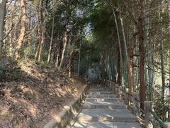 -敬亭山风景名胜区