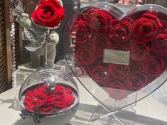 -ROSEONLY诺誓(磐基中心店)