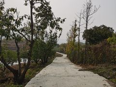-密云玫瑰情园