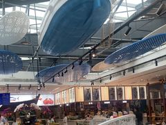 -半岛听涛蒸汽海鲜自助(K11店)