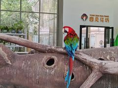 -无锡动物园·太湖欢乐园