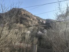 -白水寺森林公园