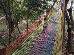 -厦门园林博览苑