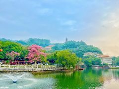 -南沙蒲洲花园