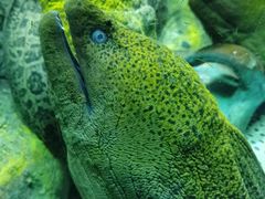 -太平洋海底世界