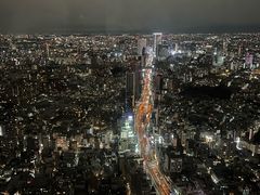 -六本木新城展望台(东京城市景观)