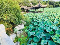 -高子水居