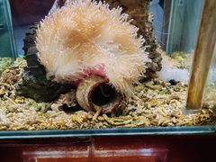 -太平洋海底世界