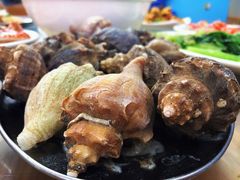 白灼大海螺-明记海鲜大排档(巽寮湾店)