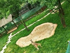 -大连森林动物园