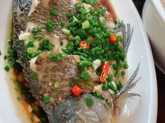 -峡谷农家乐饭店