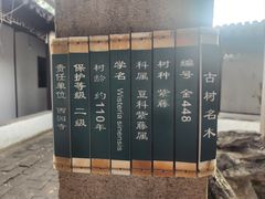 -西园戒幢律寺