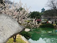 -无锡梅园公园