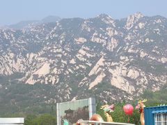 -大岭沟猕猴桃谷风景区